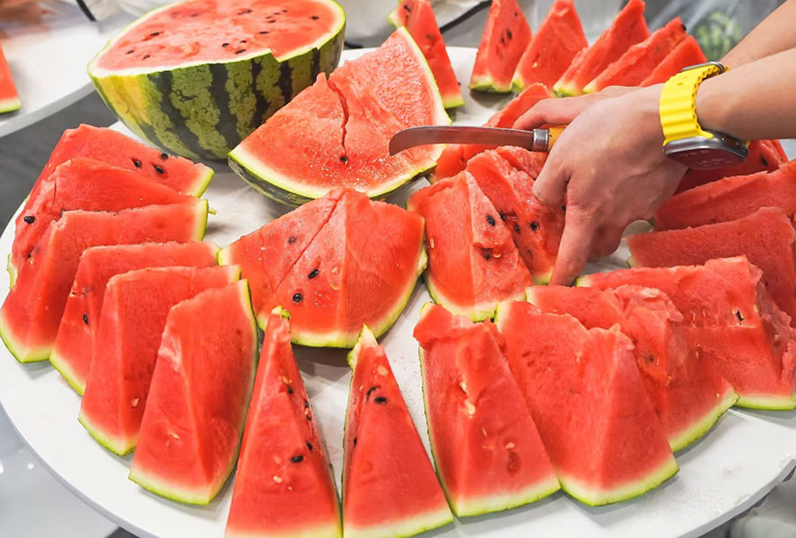 صيف جميل في ورشة العمل مع رعاية الفريق